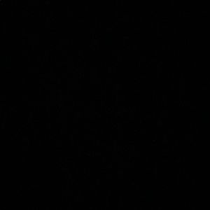 Meet your Posher, Resha